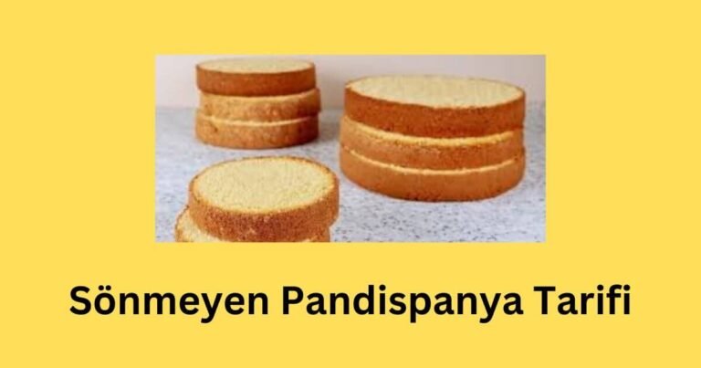 Sönmeyen Pandispanya Tarifi