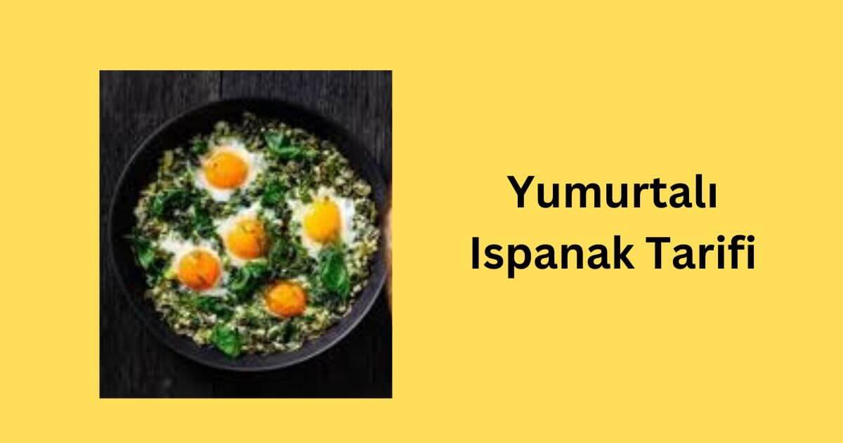 Yumurtalı Ispanak Tarifi