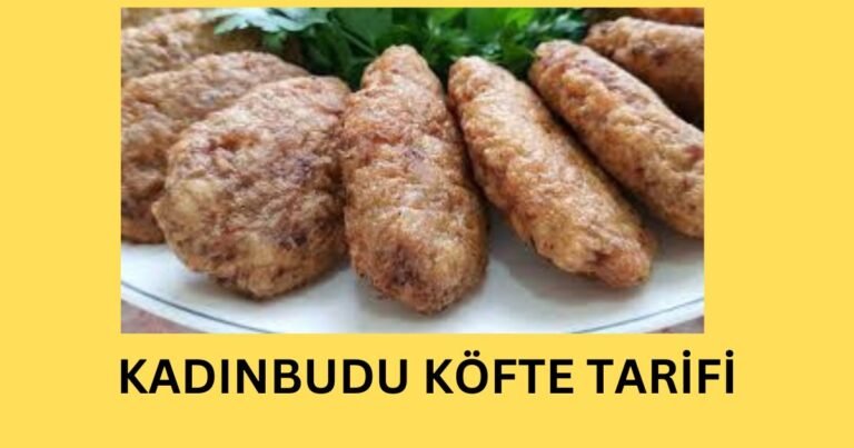 KADINBUDU KÖFTE TARİFİ