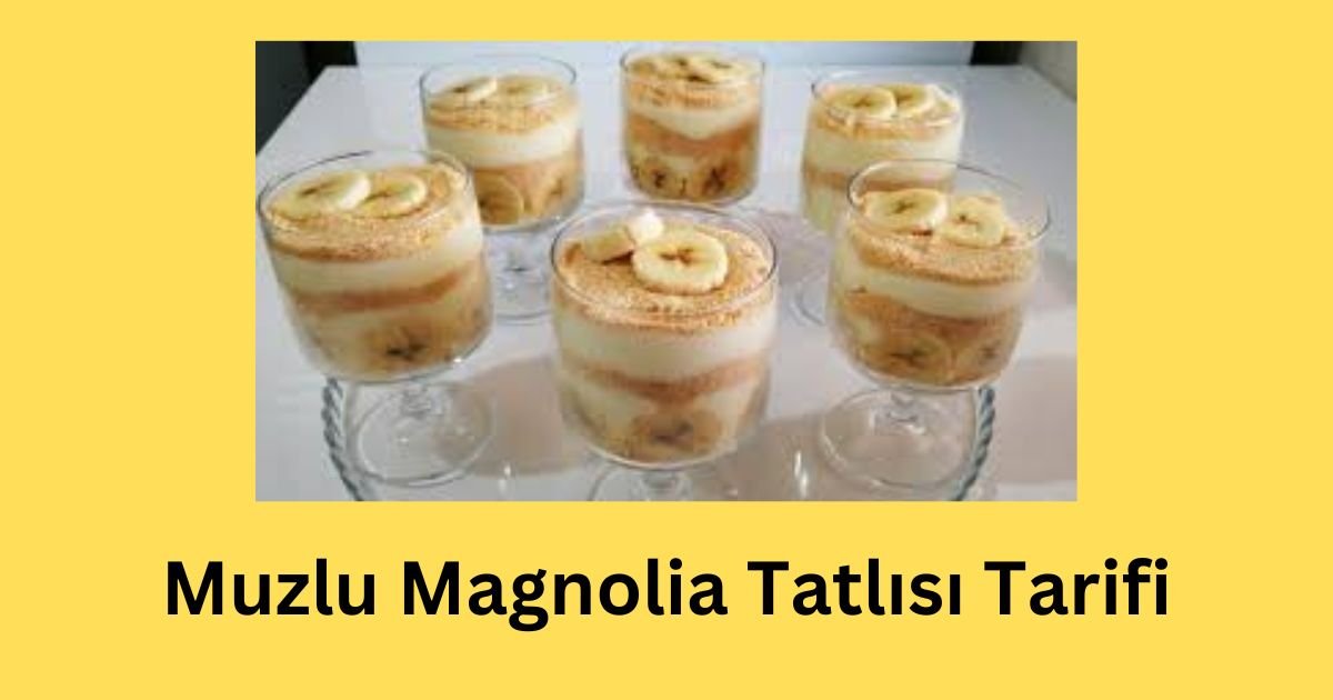 10 Kişilik Magnolia Tatlısı Tarifi